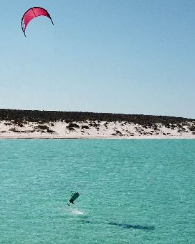 shark bay foil 2