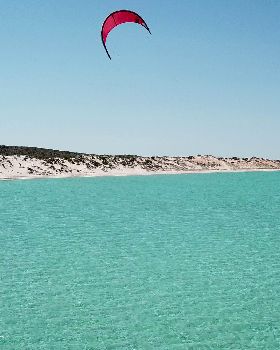 shark bay foil 5