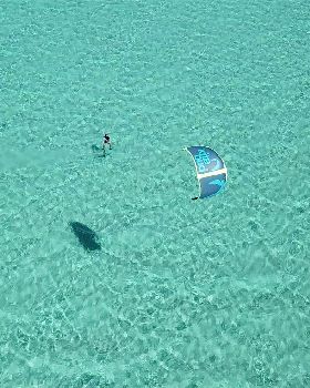 shark bay foil 7