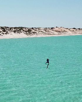 shark bay foil 6