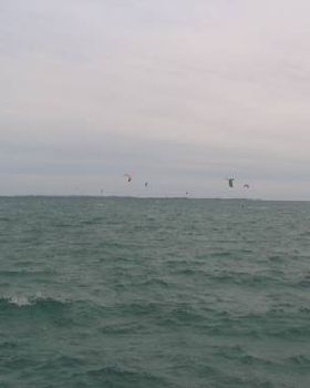 Kites