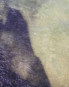Kite cam pics from botany bay
