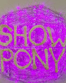 z brooks showpony
