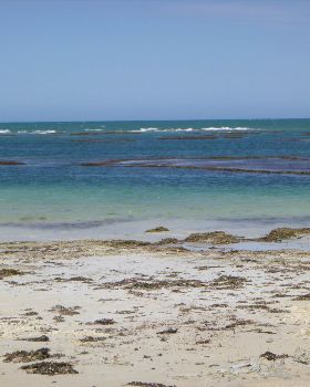 Missing kiter 4.1.2019 unique stretch of coast.Its not ideal for a port