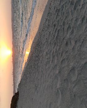 20190113 053526