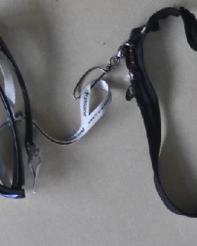 same old sunnies