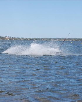 SOS photos of Damo at Pelli point