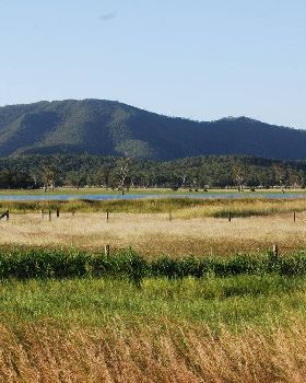 Cow paddock riding