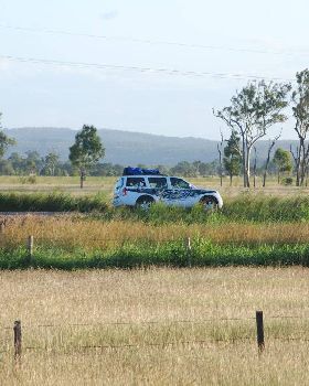 Cow paddock riding