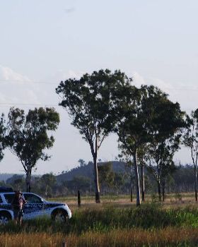 Cow paddock riding