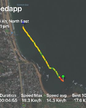 wing