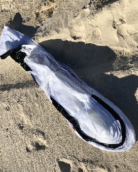 Kiteboarding