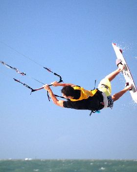 Coconet Classic 2008