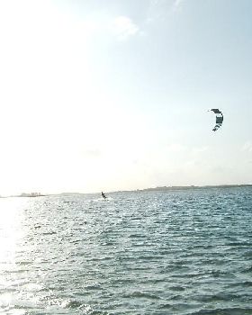Summer Bliss