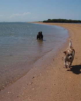Welligton point - Lily and Conway
