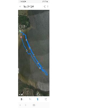 8m Peak4 lite wind foiling