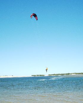 Lonely tailgrab