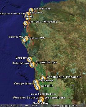 Spring is in the air: Road Trip Fever