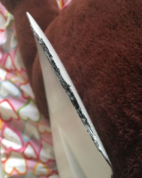 Damaged wing tip