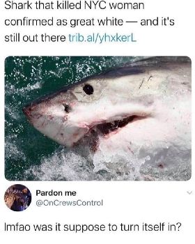 Kiteboarding
