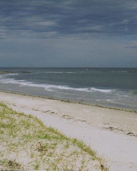 Semaphore Looking Sweet