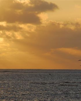 Mauritius - Le Morne 2007