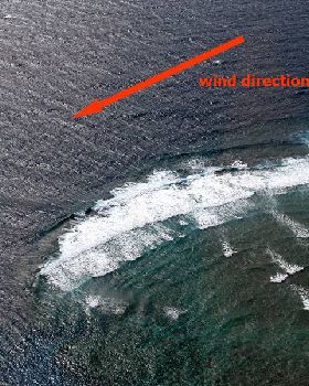 Ribbon Reefs