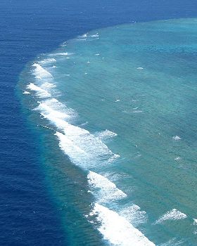 Ribbon Reefs