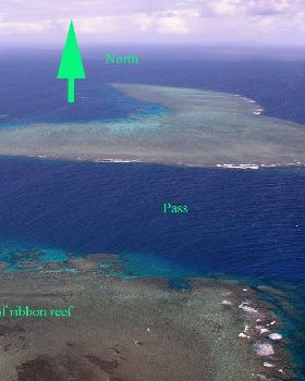 Ribbon Reefs