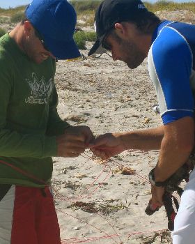 Best Demo Day - Untangling Lines