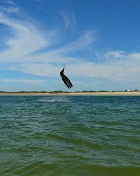 Luke from Kite Action at Caloundra Demo day