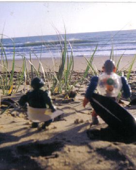more tannum surf