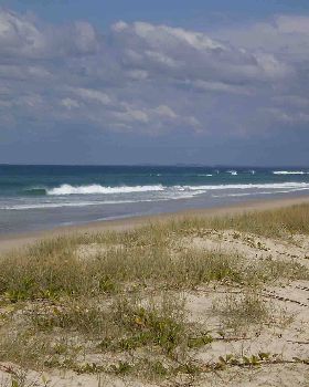 Patches Beach Northern NSW