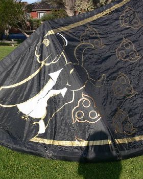 Wainman kites 12m Boss