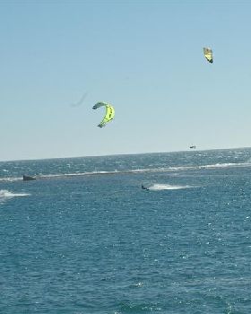 Kitestock