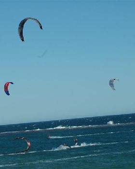Kitestock