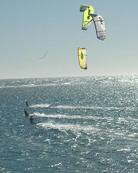 Kitestock