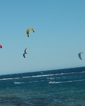 Kitestock