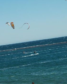 Kitestock