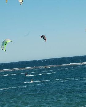 Kitestock