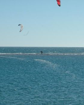 Kitestock