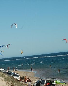 Kitestock