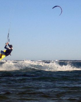 Kitestock