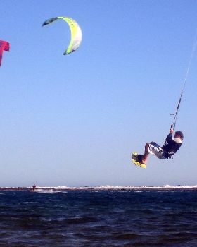 Kitestock