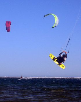 Kitestock