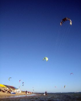 Kitestock