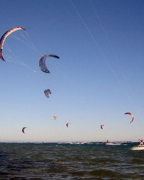 Kitestock