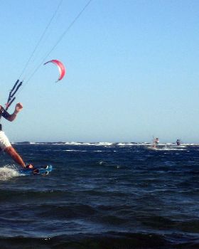 Kitestock