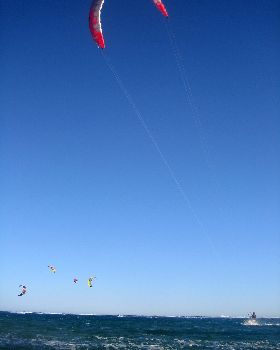 Kitestock