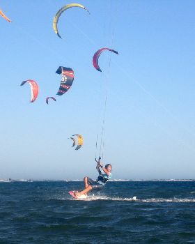 Kitestock